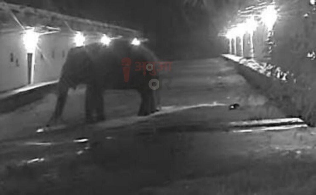 Jharkhand: चाकुलिया में हाथी ने FCI गोदाम में तोड़फोड़ की, चावल की तलाश में घुसा अंदर