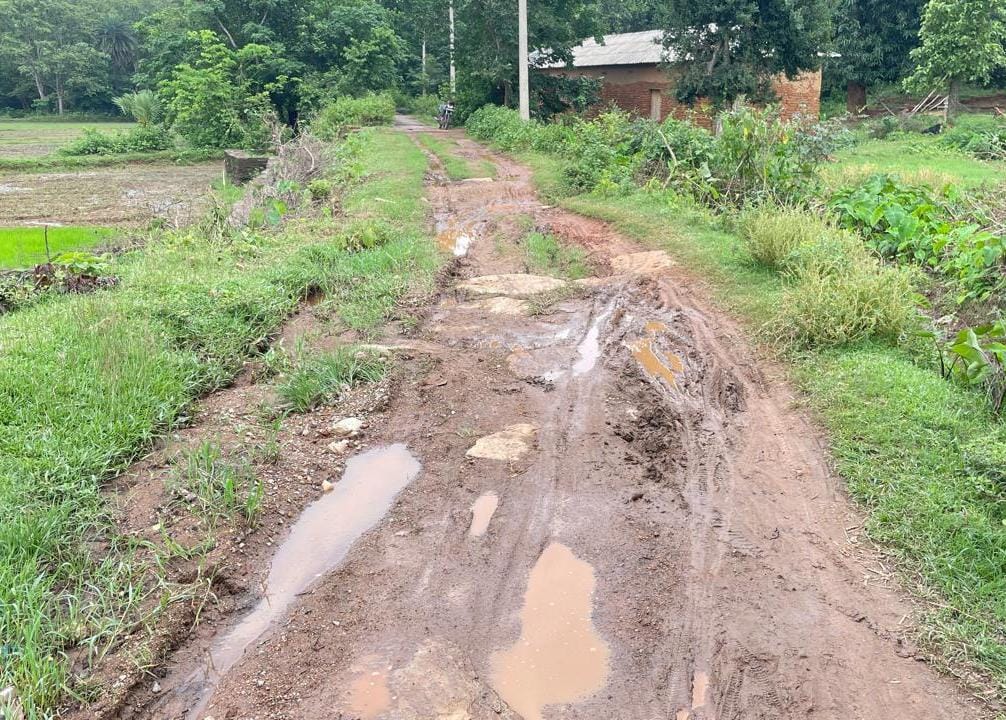 चाकुलिया: भारी बारिश से पोचापानी गांव की सड़क बनी दलदल, 60 परिवारों की बढ़ी मुश्किलें