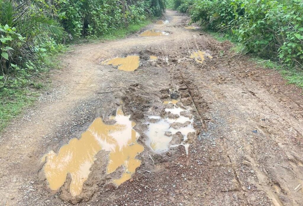 कान्हाईश्वर पहाड़ पूजा से पहले खुला बड़ा खुलासा! बाड़ाघाट जाने वाली सड़क क्यों बनी श्रद्धालुओं के लिए खतरा ?