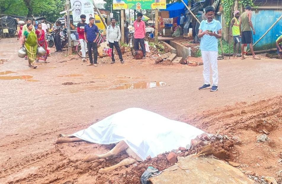 चाकुलिया में रेलवे संवेदक की लापरवाही से सड़क पर दौड़ा करंट, सांड की दर्दनाक मौत- बड़ा हादसा टला