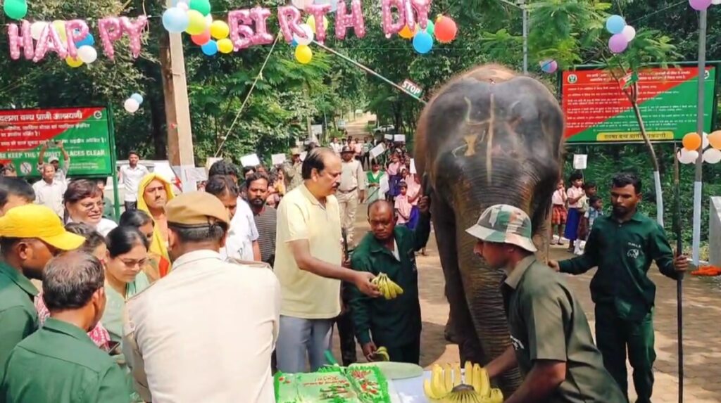 दलमा की लाडली हथिनी ‘रजनी’ ने मनाया अपना 16वां जन्मदिन, केक काटकर वन कर्मियों के संग जताई खुशी