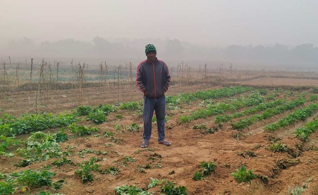 चाकुलिया: जामबनी गांव में जंगली हाथियों का तांडव, मुखिया समेत कई किसानों की फसलें नष्ट